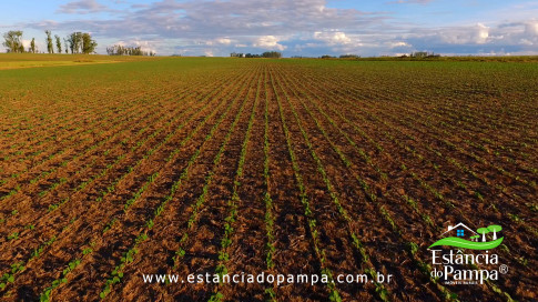 DOS EÓLICOS VIRA P FAZENDA_Moment.00_03_32_01.Quadro203_b22c502474f029081f21441db380db5c75e97cad.jpg